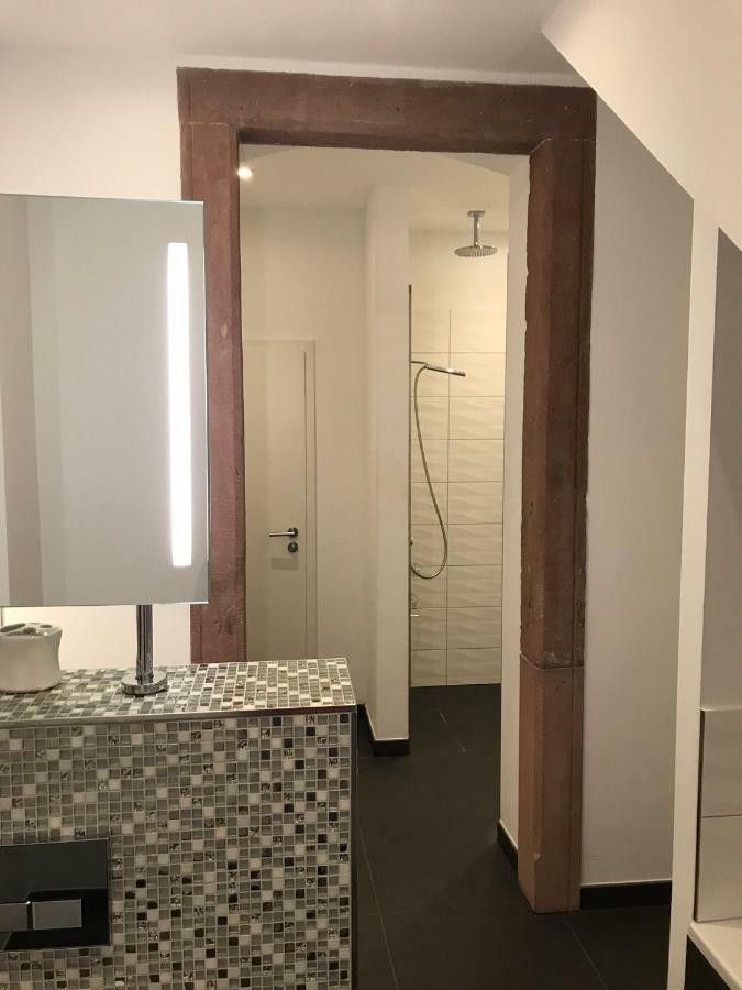 Modernes Apartment - Neustadt/Weinstrasse Stadt Neustadt an der Weinstraße Екстериор снимка